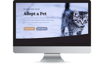 Animal Shelter Website Theme