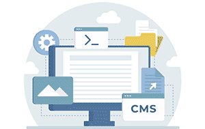 content management system (CMS)